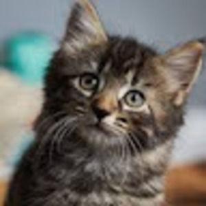 Meet your Posher, Madelyn